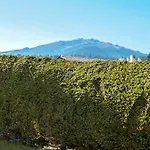 Appartement Charming 4 Bed Flat In